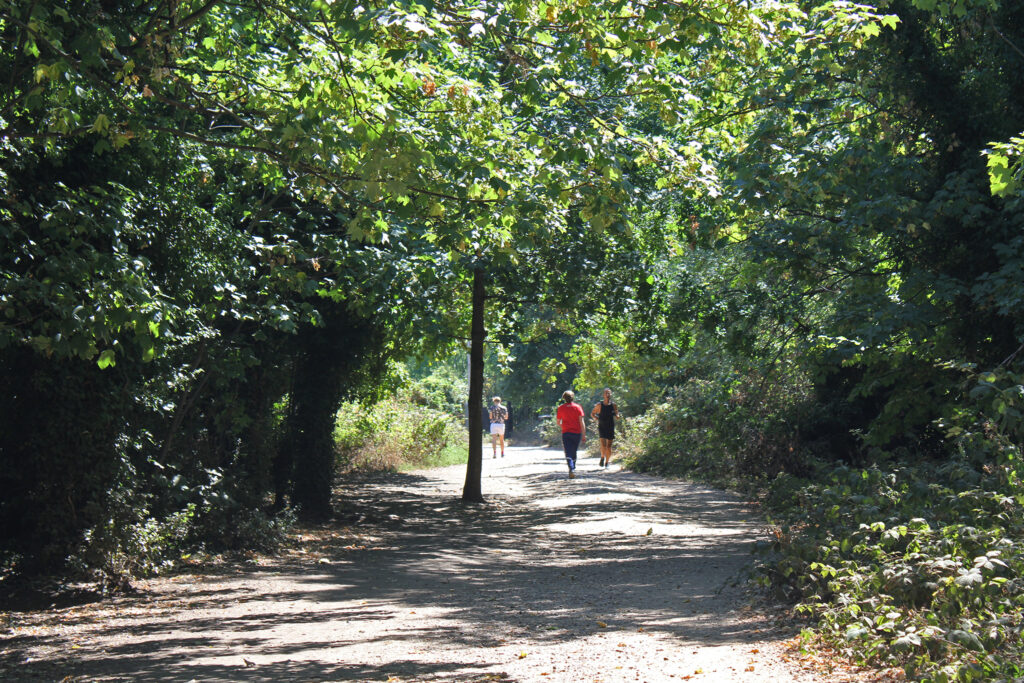 Crouch Hill's best kept secret - Parkland Walk.